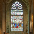 DSC03506 DSC03508-3images