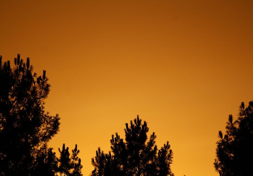 PICT0953