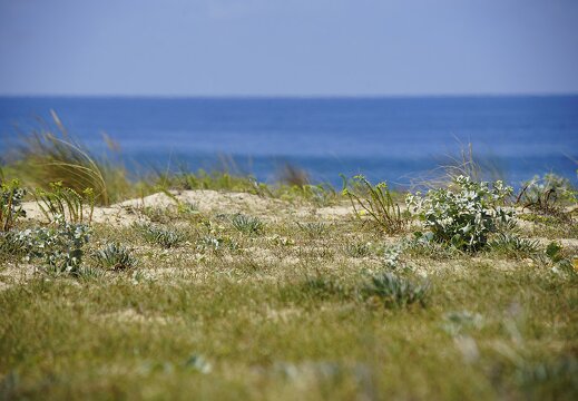  DSC0001