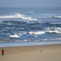 _DSC5019.jpg