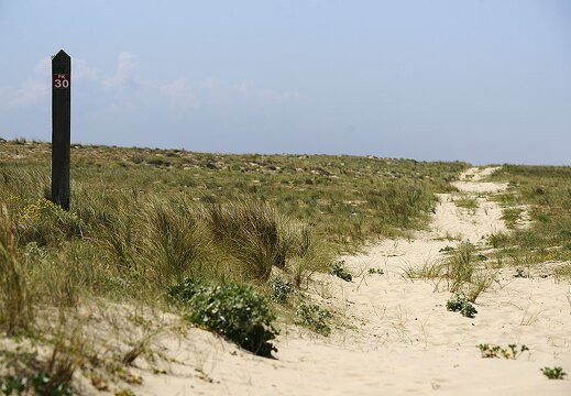  DSC7120