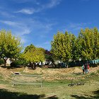 DSC08826