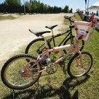 DSC9213 (1726 visits) DSC9213