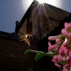 PICT0335