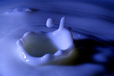 goutte de lait2