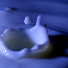 goutte de lait2