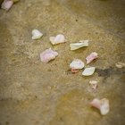  DSC5460
