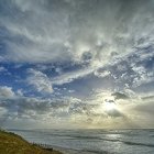  DSC4424