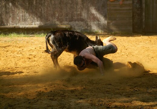 pict0606