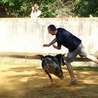 pict0644 (758 visits) pict0644