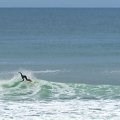  DSC4152