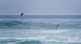  DSC0691