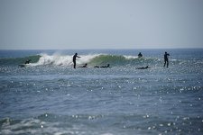  DSC3639