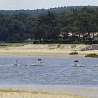 Panorama courant Mimizan juin 2015