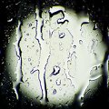 DSC01913