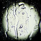 DSC01913