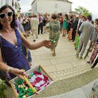 DSC06268 (1550 visits) DSC06268