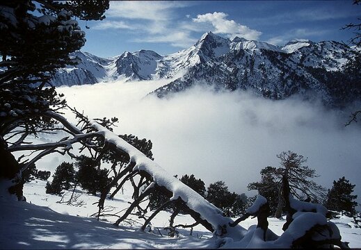 paysage