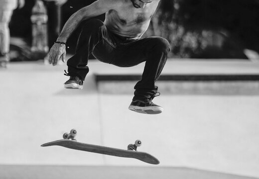  DSC1310