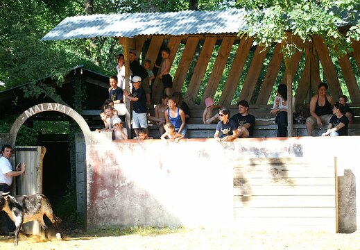 pict0629