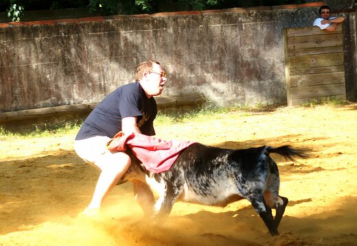 Vacas-y-Carcas