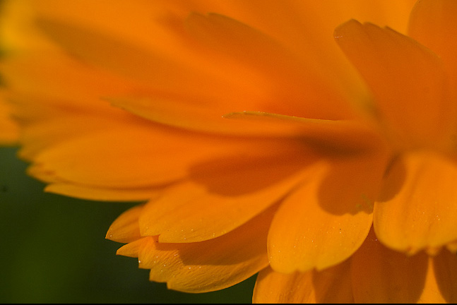 PICT8838.jpg